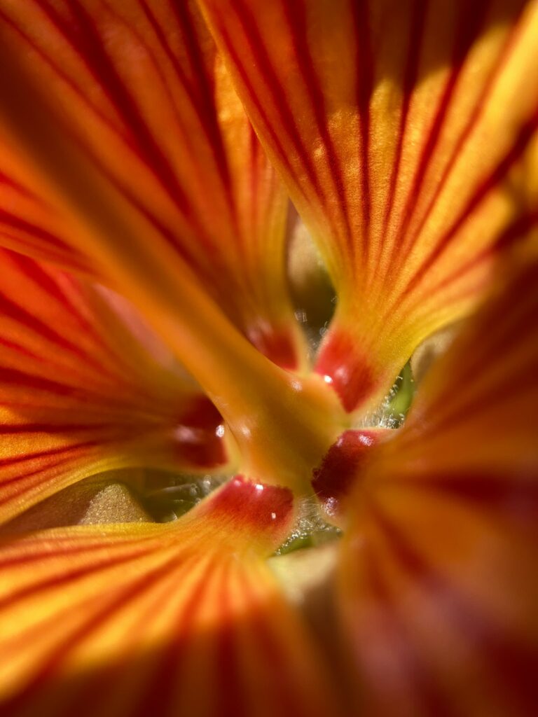 Asian migrant sex workers respond to unjust verdict on the death of Yuqi Lou and Hyun Sook Jeon